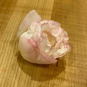 Meet your Posher, Christina